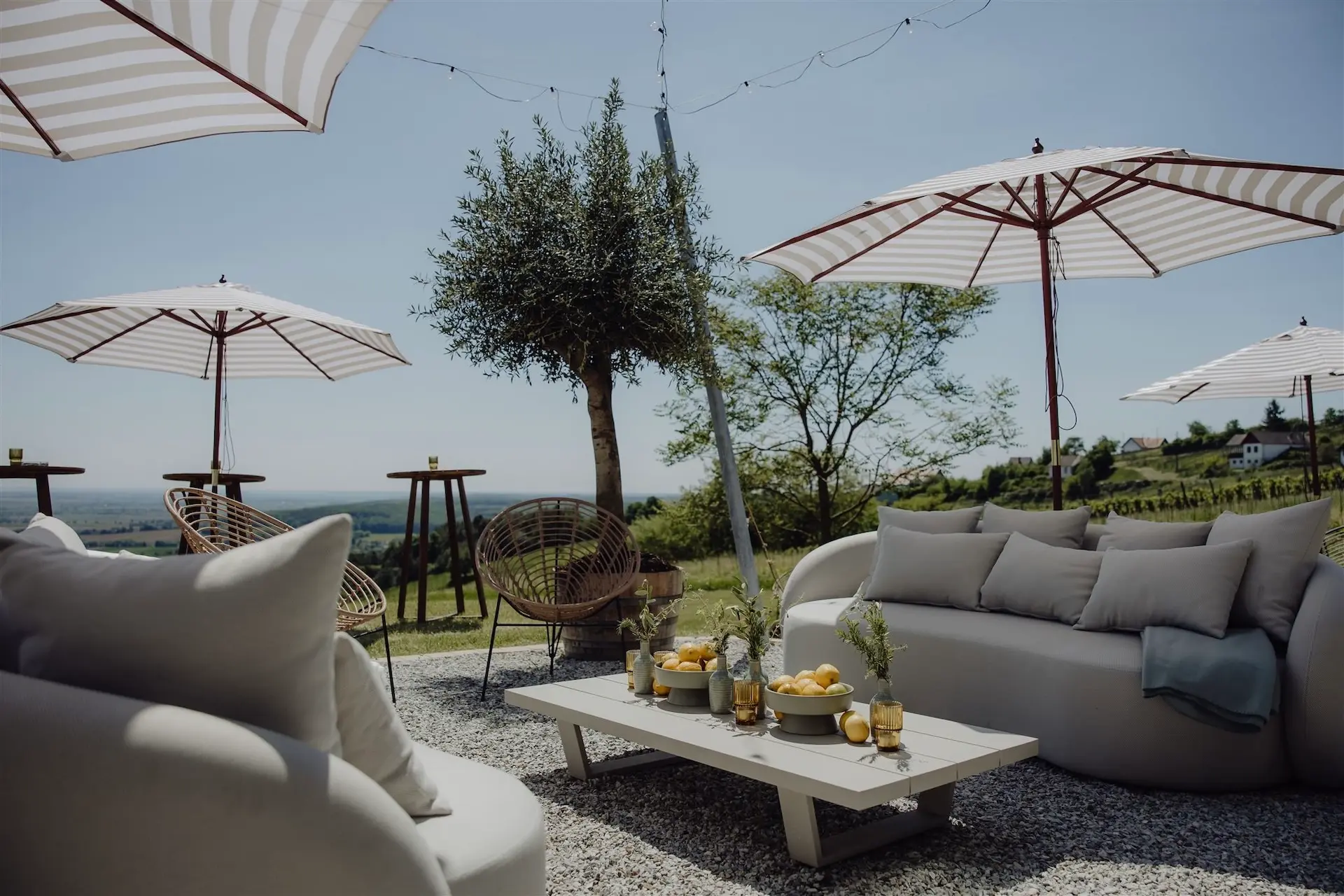Chamäleon Lounge-Bereich im Freien mit gepolsterten Sofas, einem niedrigen Couchtisch mit Zitronen und Getränken, gestreiften Sonnenschirmen, runden Korbstühlen und einer malerischen Aussicht auf Bäume und eine ferne Landschaft unter einem klaren Himmel.