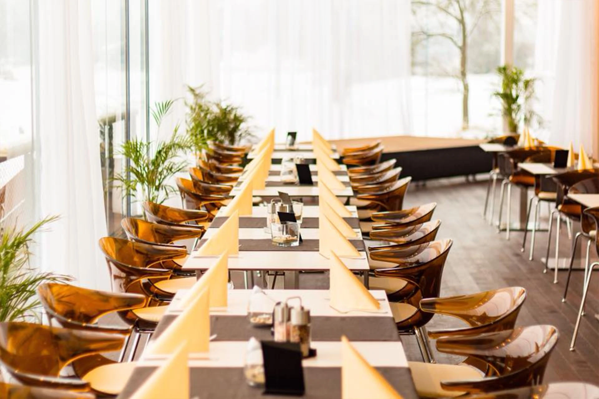 Ein modernes Restaurant mit langen Tischen zum Essen, braunen Stühlen, gelben gefalteten Servietten und Topfpflanzen an großen Fenstern mit weißen Vorhängen. Der geräumige, elegante Raum ist von natürlichem Licht durchflutet.