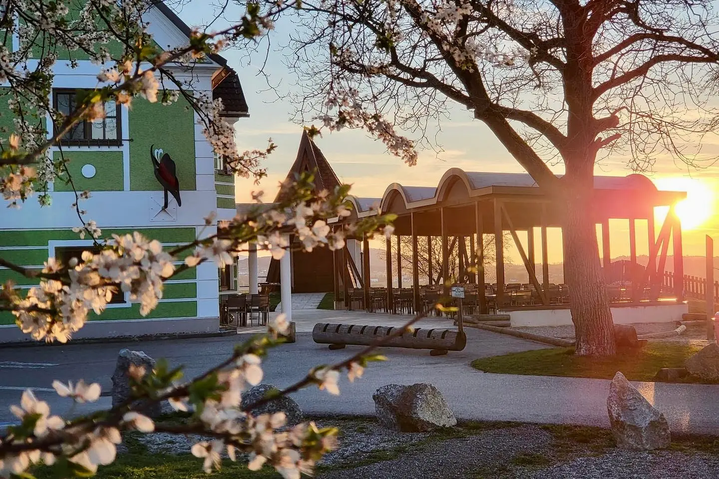 Eine frühlingshafte Szene bei Sonnenuntergang mit blühenden weißen Blumen im Vordergrund, einem grünen Gebäude mit einer Wandmalerei, einem Baum, Bänken und einem überdachten Sitzbereich im Freien, der in warmes Sonnenlicht getaucht ist.