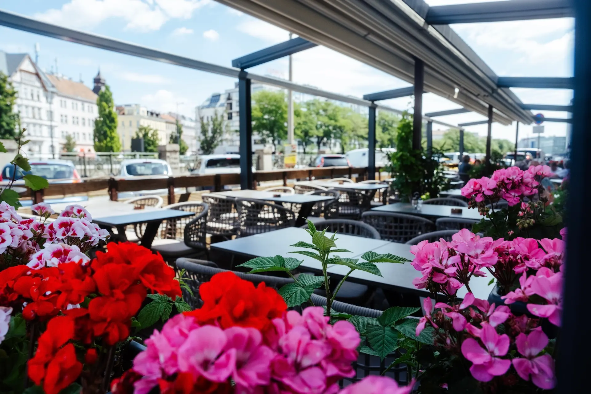 Ein Straßencafé mit leeren Tischen und Stühlen, farbenfrohen rosa und roten Blumen im Vordergrund, Glaswänden und einer Stadtstraße mit Gebäuden und geparkten Autos im Hintergrund an einem sonnigen Tag.